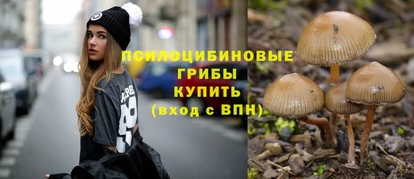 прущие грибы Алзамай