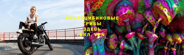 кокс Алексин