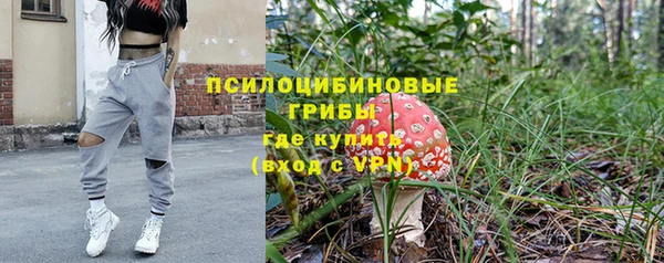 кокс Алексин
