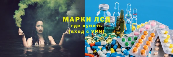 прущие грибы Алзамай