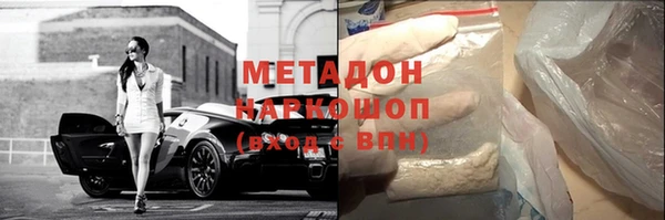прущие грибы Алзамай