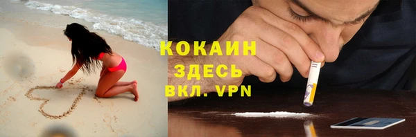 кокс Алексин