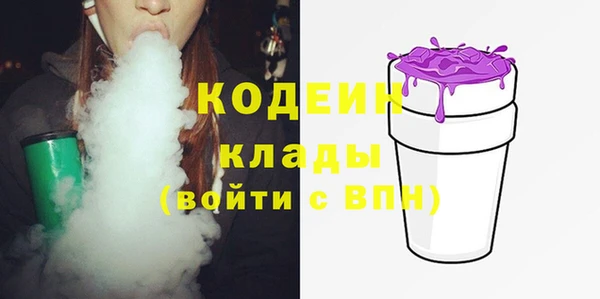 прущие грибы Алзамай