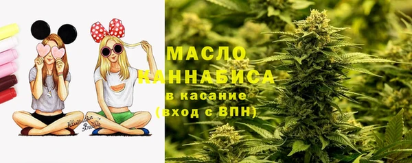 прущие грибы Алзамай