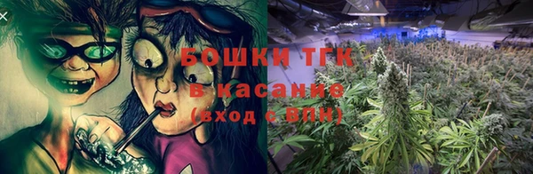 прущие грибы Алзамай