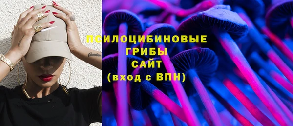 прущие грибы Алзамай