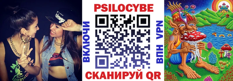 купить наркотик  Цимлянск  Галлюциногенные грибы Psilocybe 
